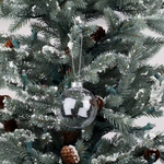 Clear Plastic Ball Ornament (5 Pack)