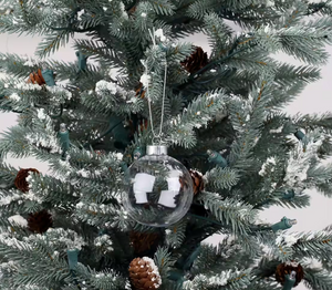 Clear Plastic Ball Ornament (5 Pack)