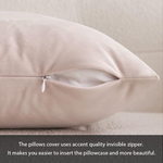 Light Pink Velvet Pillow Cover 18x 18